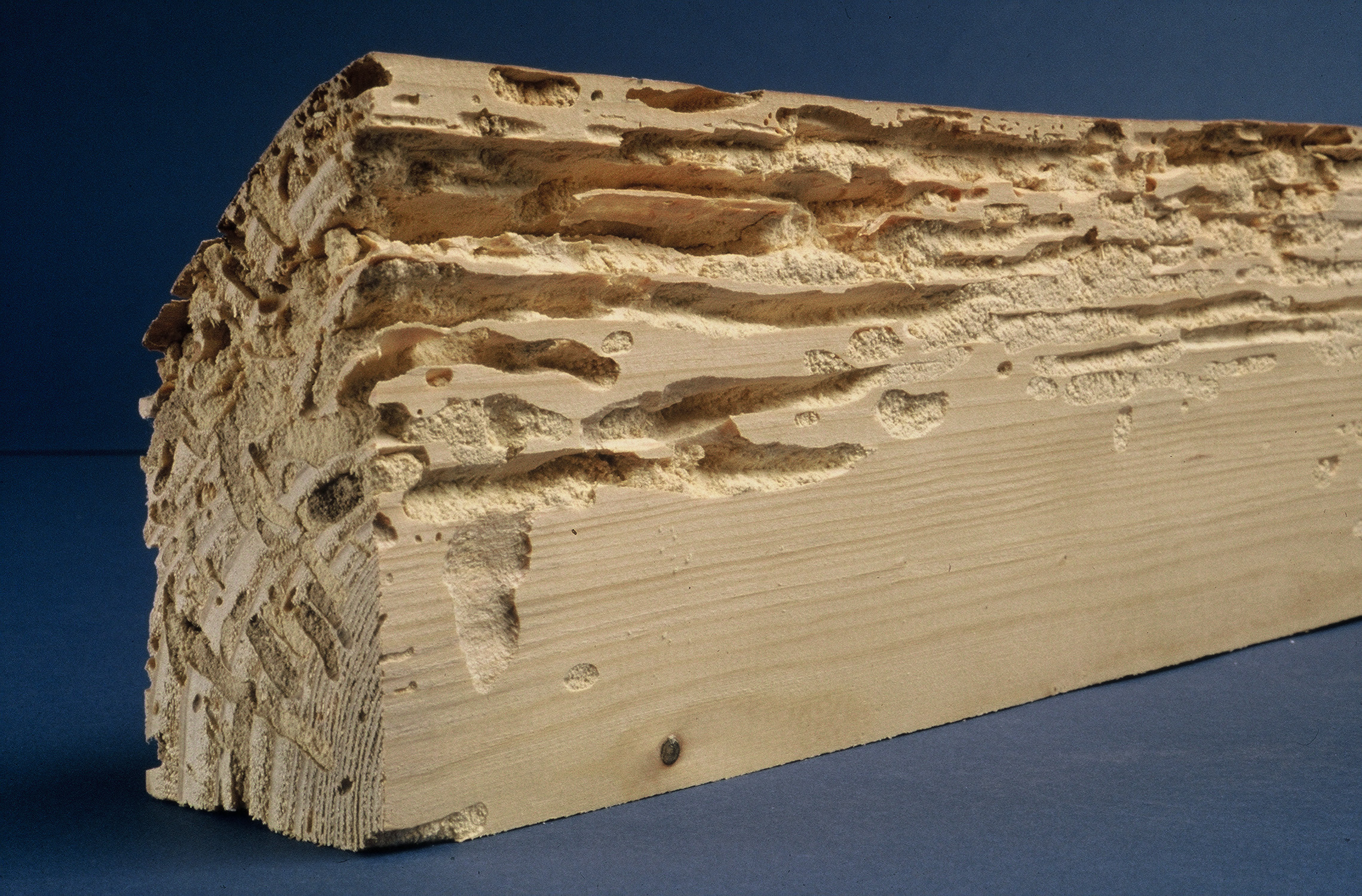 Traitement de charpente, bois à Chambéry